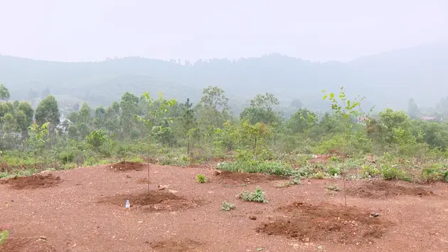Suy thoái đất đang ở mức báo động