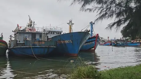 Các địa phương kêu gọi tàu thuyền tránh bão