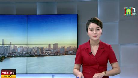 Canada: Hàng trăm đám cháy cháy rừng bùng phát