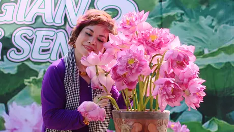 Trải nghiệm không gian ngát hương sen Tây Hồ