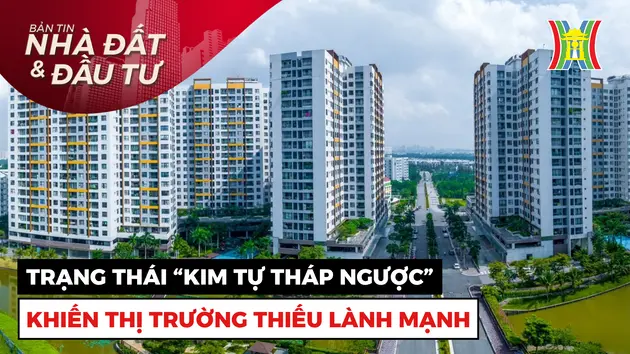 Bản tin Nhà đất và đầu tư | 19/11/2024