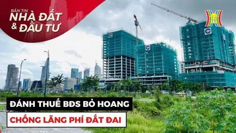 Bản tin Nhà đất và đầu tư | 19/12/2024