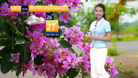 Dự báo thời tiết | 20/05/2025
