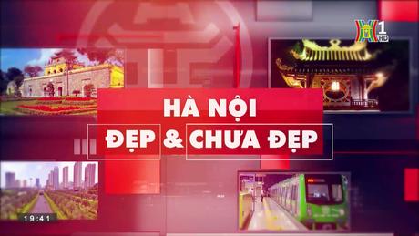 Trung Quốc ngừng nhập tôm hùm bông từ Việt Nam