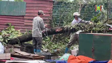 Khắc phục hậu quả bão số 3 ở ngoại thành Hà Nội