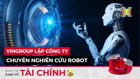 Bản tin Kinh tế Tài chính | 20/11/2024