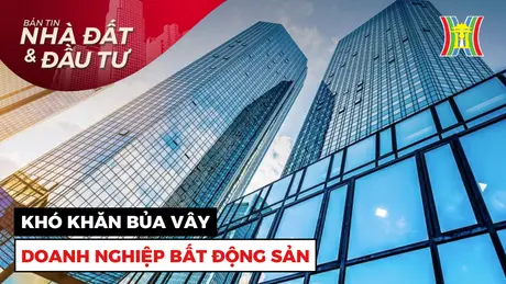 Bản tin Nhà đất và đầu tư | 20/11/2024