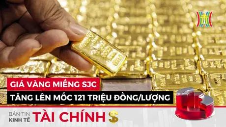 Bản tin Kinh tế Tài chính | 21/05/2025