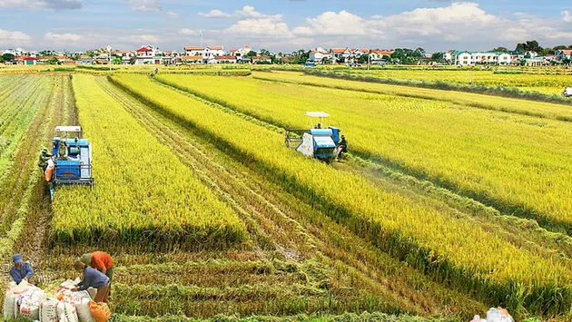 Đài Hà Nội