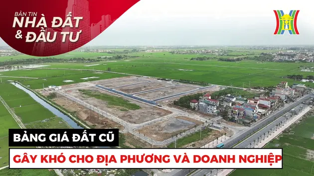 Bản tin Nhà đất và đầu tư | 21/11/2024