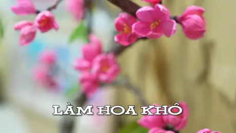 Làm hoa khô | Nhịp sống Hà Nội | 22/03/2025