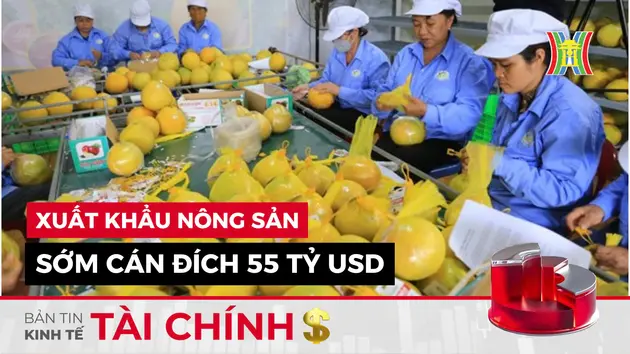 Bản tin Kinh tế Tài chính | 22/09/2024