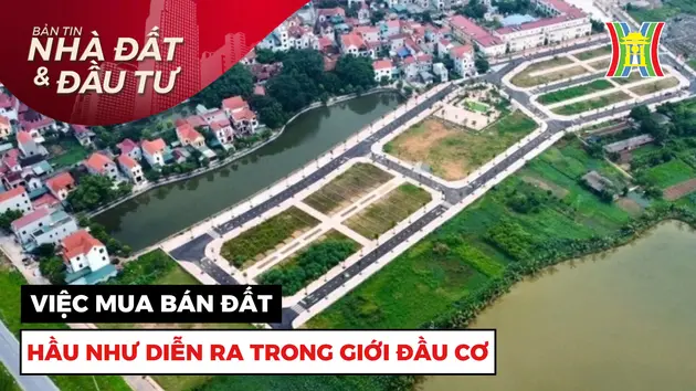 Bản tin Nhà đất và đầu tư | 22/10/2024