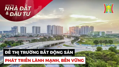 Bản tin Nhà đất và đầu tư | 22/11/2024