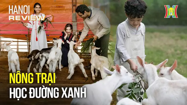 Thế giới xanh, lớp học sống: Nông trại học đường xanh | HANOI Review | 22/11/2024