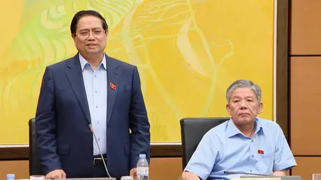 Đa dạng hóa thị trường, tích cực đàm phán với Hoa Kỳ