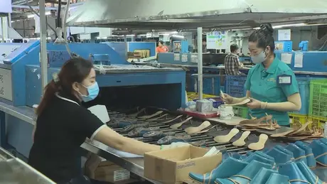 Tìm kiếm thị trường để ứng phó với căng thẳng thương mại