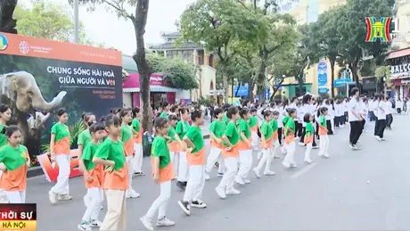 Hàng nghìn người nhảy flashmob chung tay bảo vệ rừng