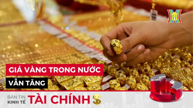 Bản tin Kinh tế Tài chính | 23/11/2024