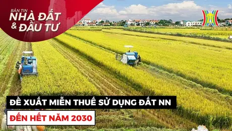 Bản tin Nhà đất và đầu tư | 23/12/2024