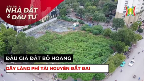 Bản tin Nhà đất và đầu tư | 24/05/2025