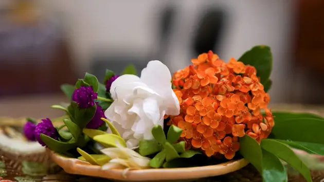 Gói hoa lưu hương sắc | Hà Nội đến để yêu | 25/05/2025