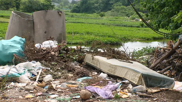 Hệ lụy từ việc bán đất trái thẩm quyền | Hộp thư truyền hình | 24/05/2025