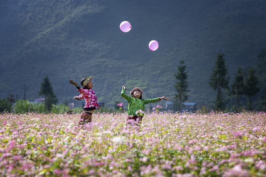 Thưởng thức vẻ đẹp mê hoặc của Hà Giang | 24/08/2023