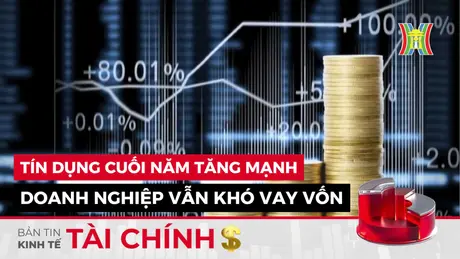 Bản tin Kinh tế Tài chính | 24/11/2024