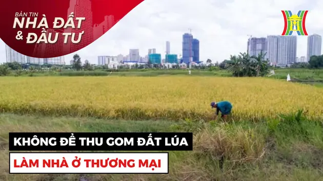 Bản tin Nhà đất và đầu tư | 24/11/2024