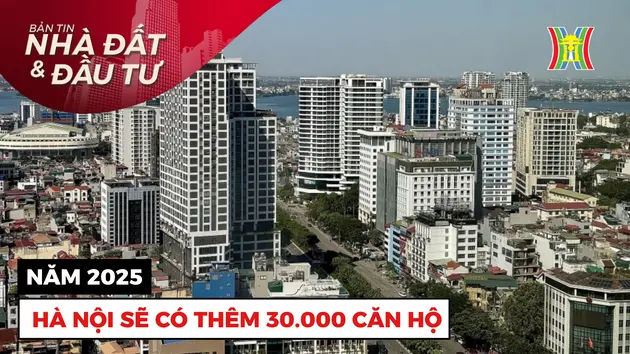 Bản tin Nhà đất và đầu tư | 24/12/2024