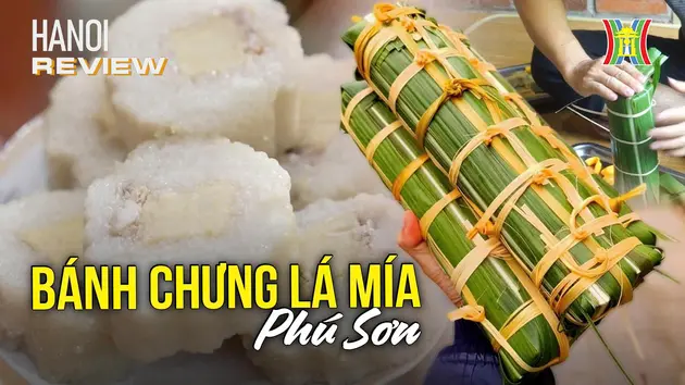 Bánh chưng lá mía - đặc sản nức tiếng Phú Sơn | HANOI Review | 24/01/2025