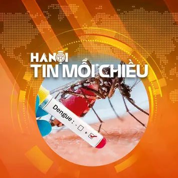 Hà Nội lên kịch bản chống dịch sốt xuất huyết | Hà Nội tin mỗi chiều