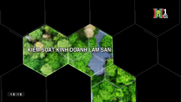 Kiểm soát kinh doanh lâm sản | Tạp chí Kiểm lâm | 25/06/2023