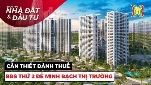 Bản tin Nhà đất và đầu tư | 25/10/2024