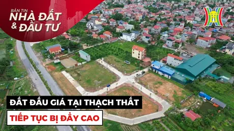 Bản tin Nhà đất và đầu tư | 25/11/2024