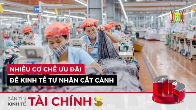 Bản tin Kinh tế Tài chính | 26/05/2025