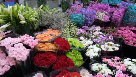 Vương vấn hương sắc chợ hoa Quảng Bá | Hà Nội đến để yêu | 27/05/2025