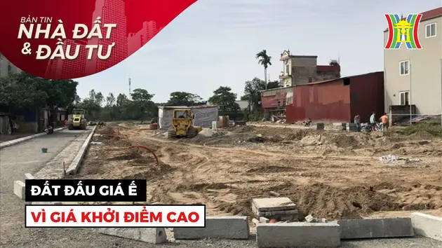 Bản tin Nhà đất và đầu tư | 26/08/2024