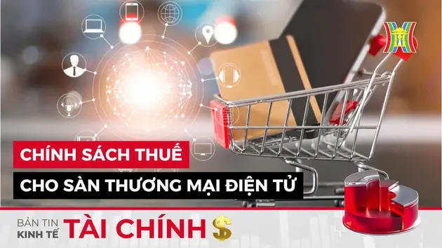 Bản tin Kinh tế Tài chính | 26/10/2024