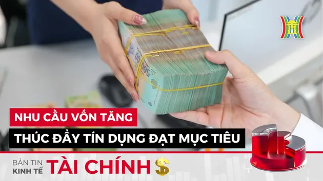 Bản tin Kinh tế Tài chính | 26/11/2024