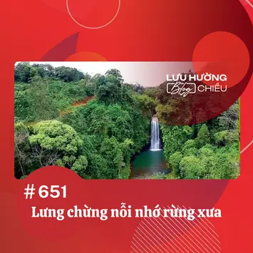 Lưng chừng nỗi nhớ rừng xưa