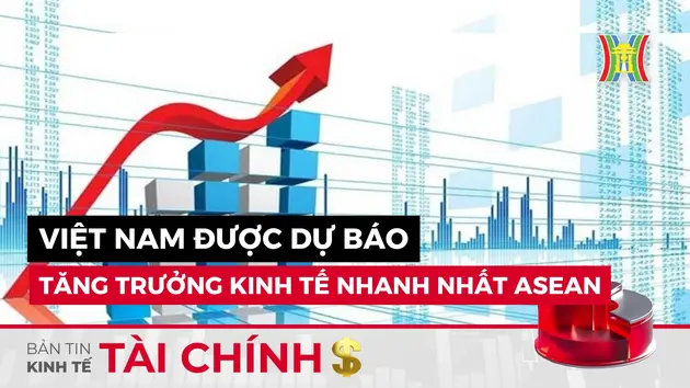 Bản tin Kinh tế Tài chính | 27/08/2024