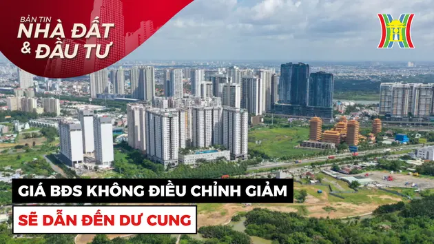 Bản tin Nhà đất và đầu tư | 28/11/2024