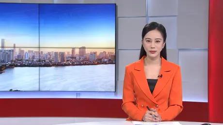 Chương trình Thời sự 11h30 | 29/04/2025