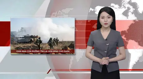 Gian nan con đường tìm lại hoà bình cho Gaza | Nhìn ra thế giới | 29/05/2025