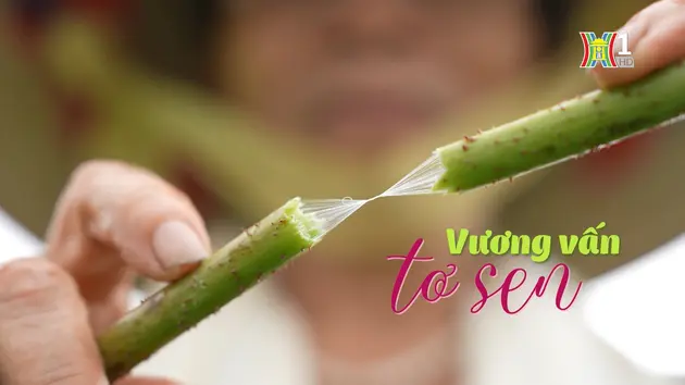 Vương vấn tơ sen | Nghệ nhân Hà Nội | 29/06/2024