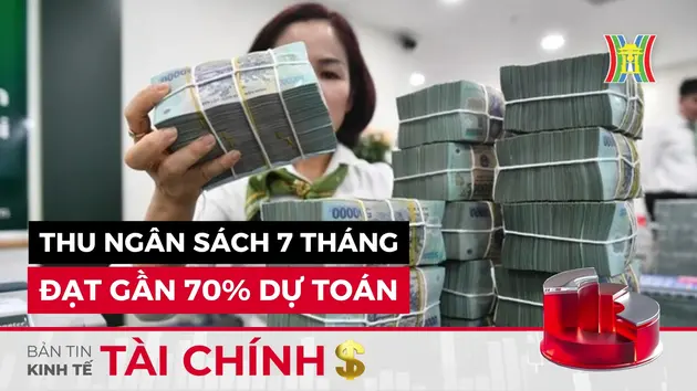 Bản tin Kinh tế Tài chính | 29/07/2024