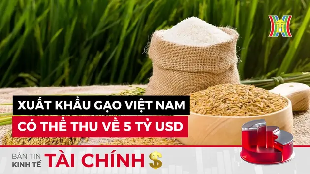 Bản tin Kinh tế Tài chính | 29/08/2024