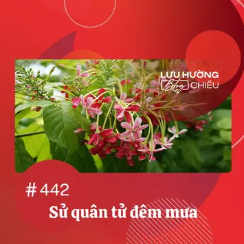 Sử quân tử đêm mưa